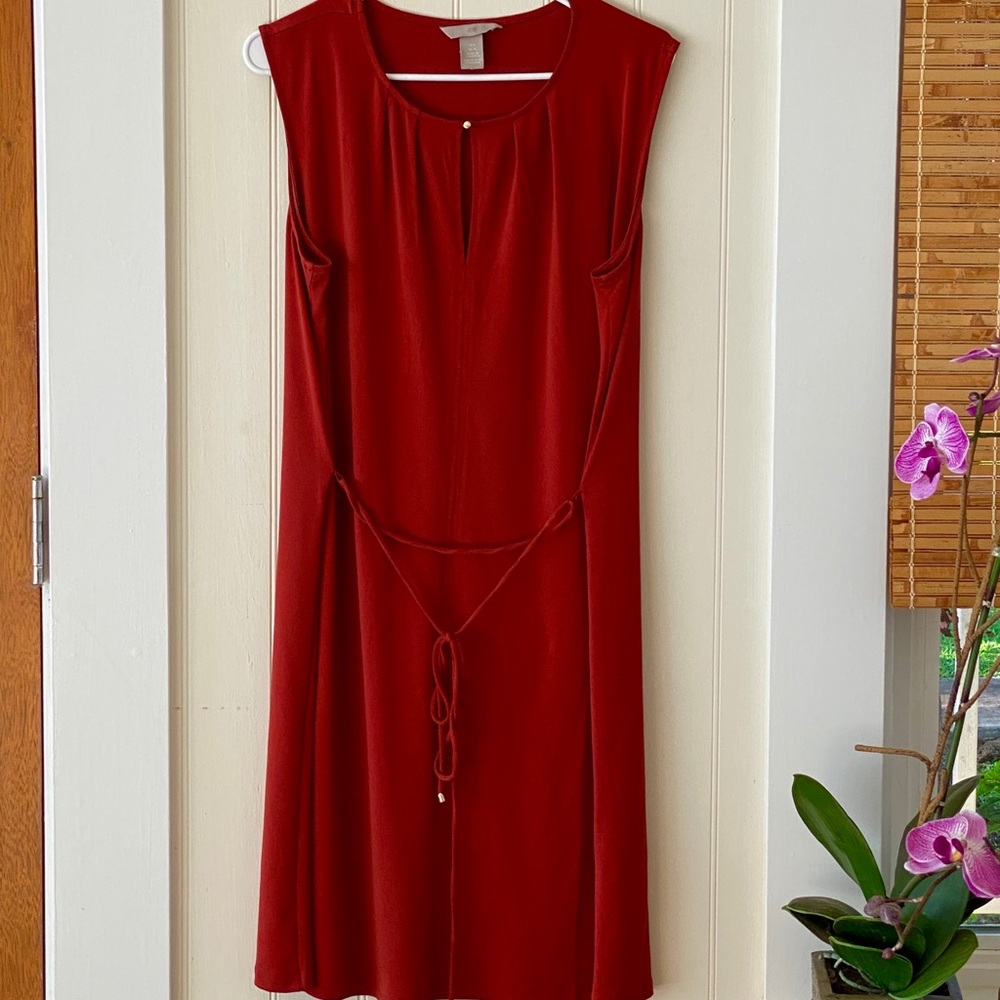 H&M burnt red cinch waist dress